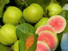 🇻🇳 Vietnam Exports Fruits to Foreign Countries