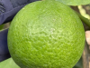 Top lime exporters Asia
