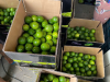 Vietnam seedless lime