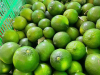Lime exporter from Vietnam