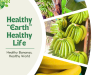 Company Introduction – BTH Export Import Co., Ltd