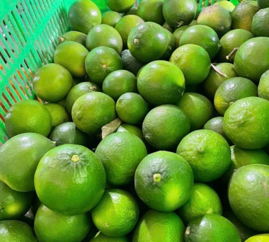 Lime exporter from Vietnam