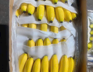 BANANAS