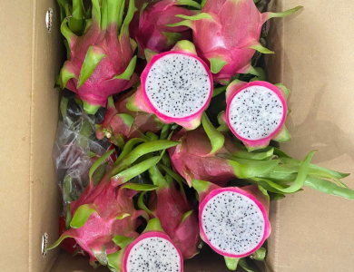 Dragon Fruit Export