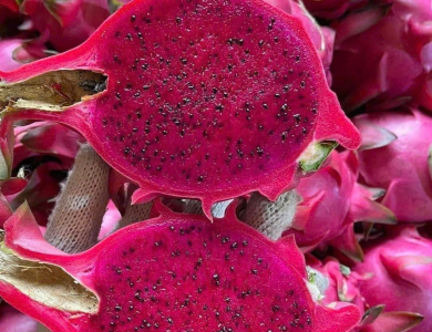 Dragon Fruit Export