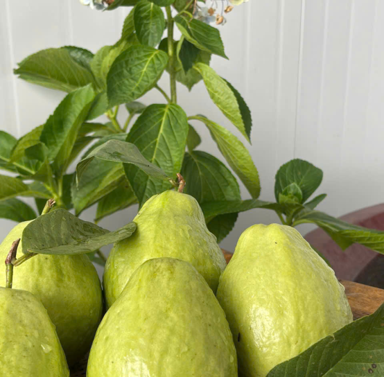 Vietnamese fresh fruit exports