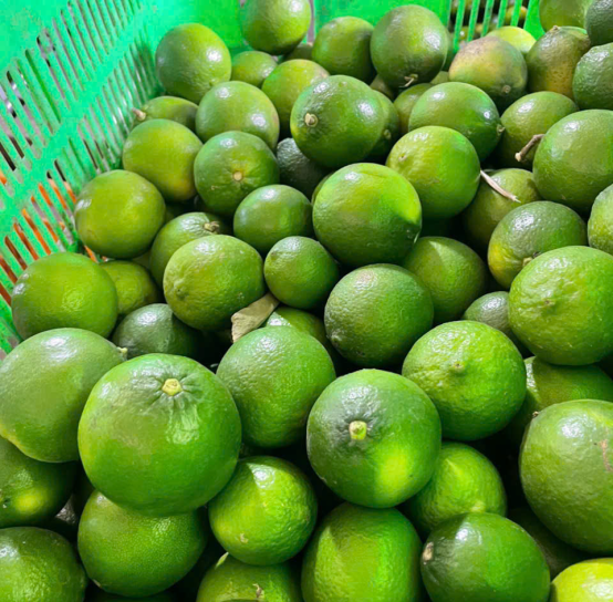 Lime exporter from Vietnam