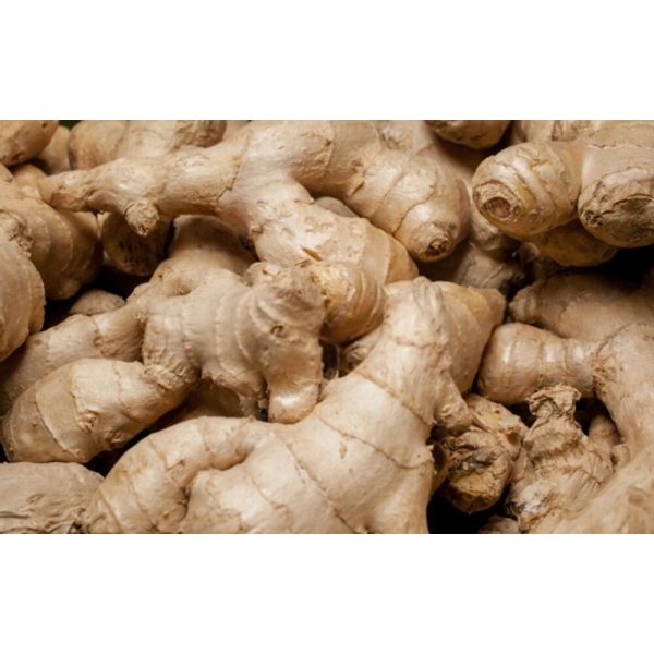 Ginger Export