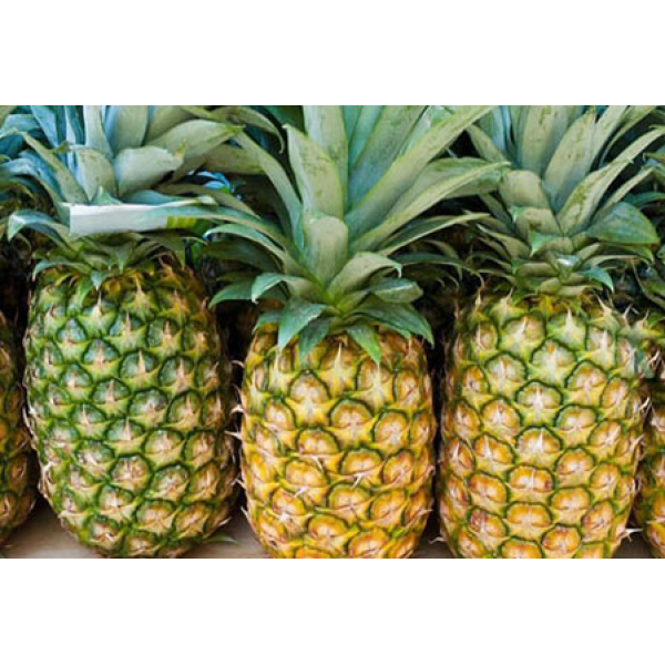  Pineapple Export