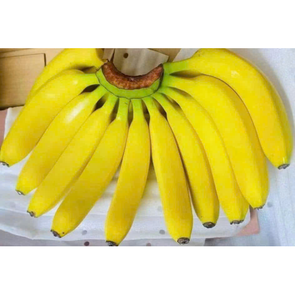 BANANAS