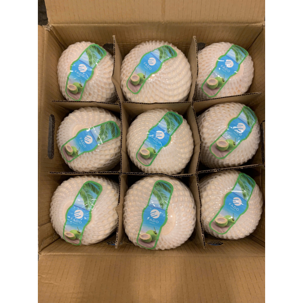 Coconut Export