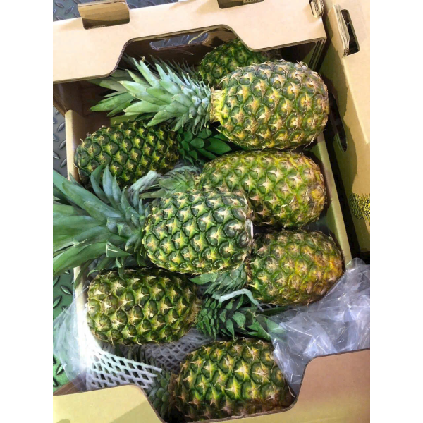  Pineapple Export