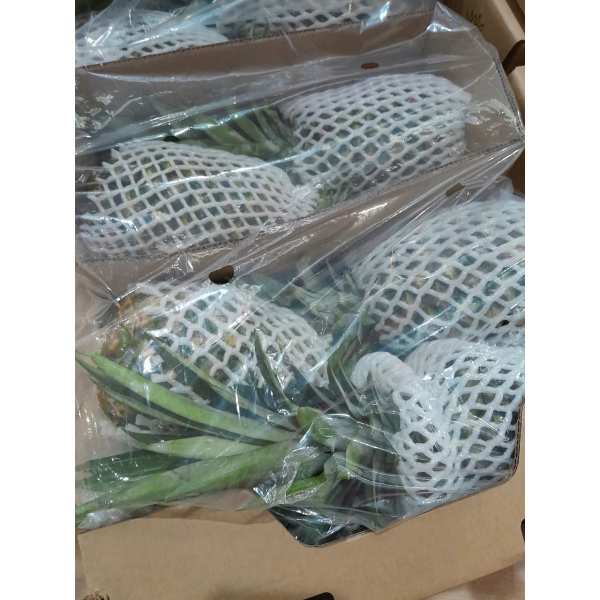  Pineapple Export